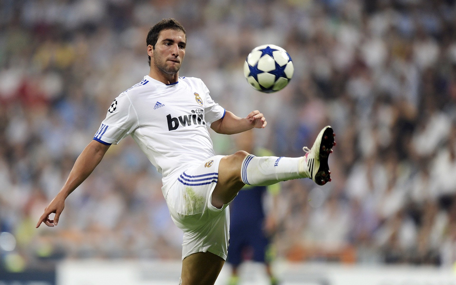 佩雷拉已经从狼队官宣下课，国安未来要是换帅，可以考虑请他，佩雷拉执教国足